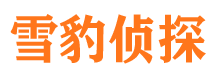 文山外遇出轨调查取证